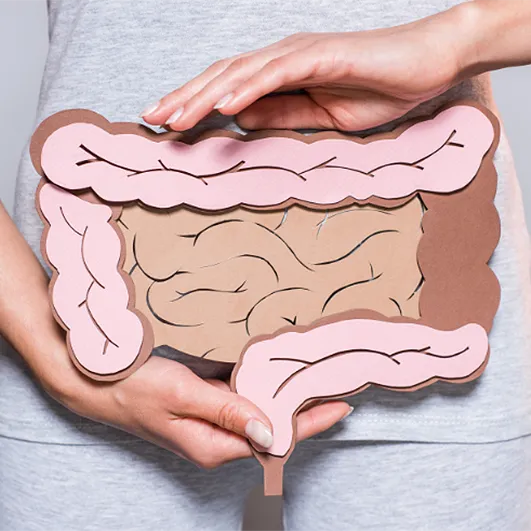 Los Nutrientes Vita Status